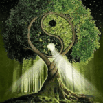 A tree shaped like a yin-yang symbol glowing in a forest.