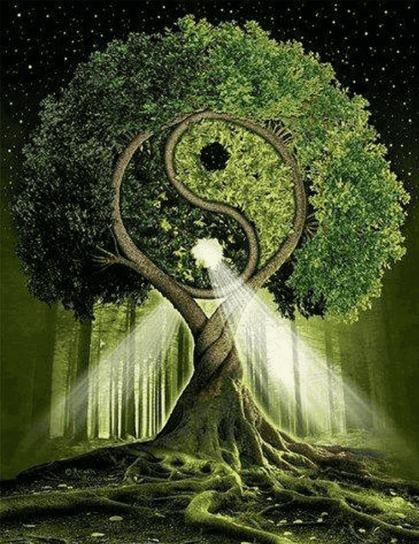 A tree shaped like a yin-yang symbol glowing in a forest.
